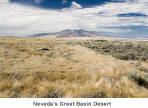 Nevada's Great Basin Desert