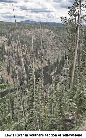Lewis River